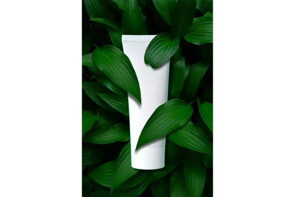 Download Beauty in Nature. - Beauty Collection