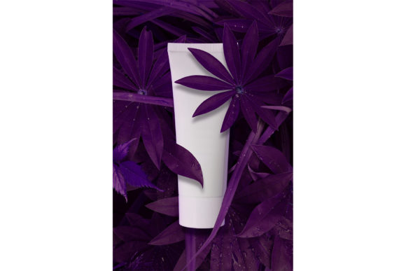 Download Beauty in Nature. - Beauty Collection